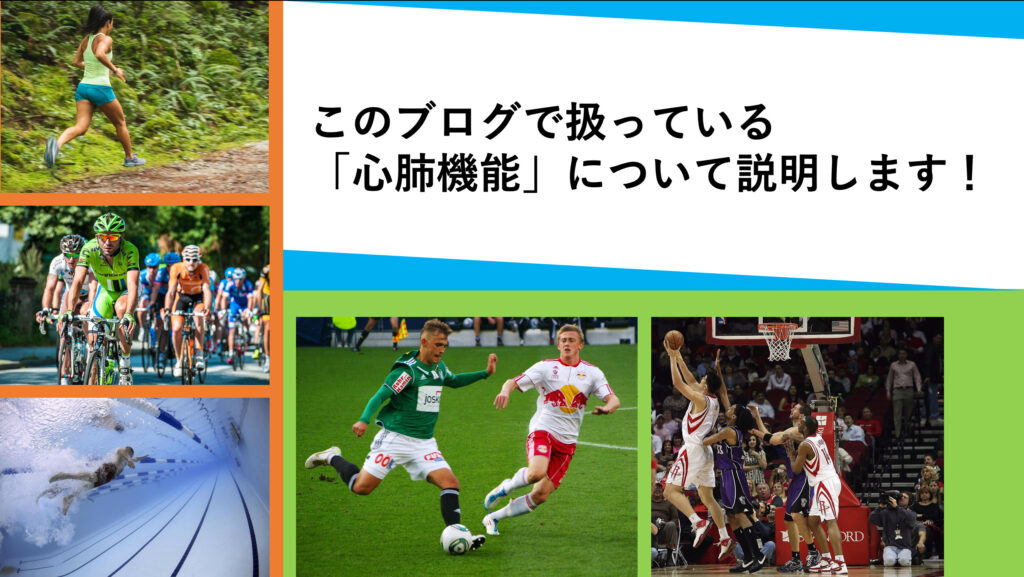 このブログで扱っている「心肺機能」について説明します！